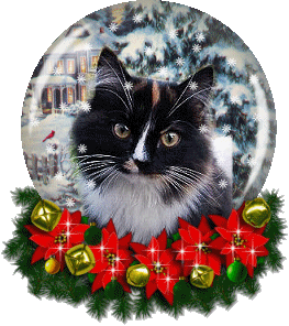 des moments de bonheur